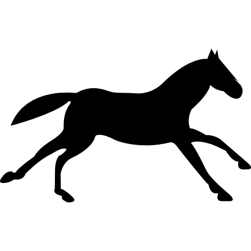 Black running horse
